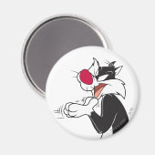 SYLVESTER™ Rubberen Magneet (Voorkant / Achterkant)