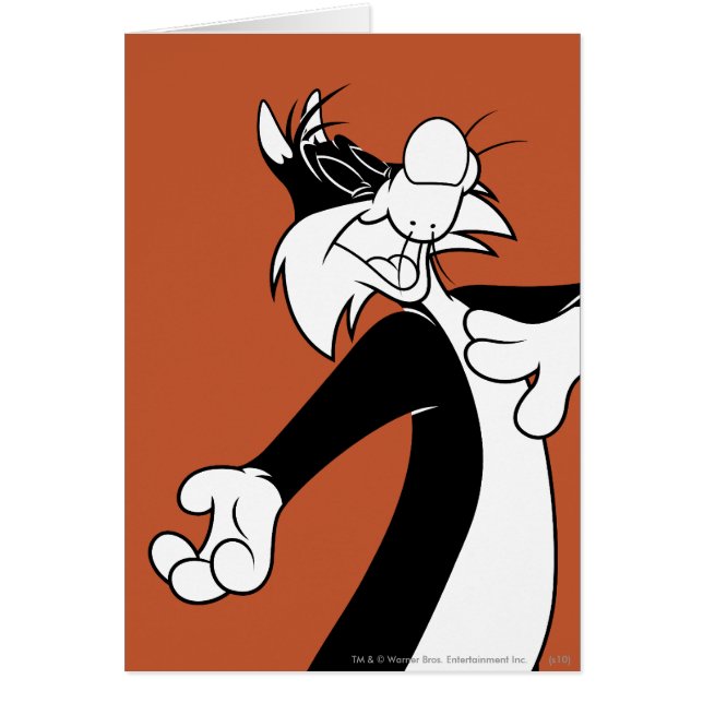 SYLVESTER™ Singing (Voorkant)
