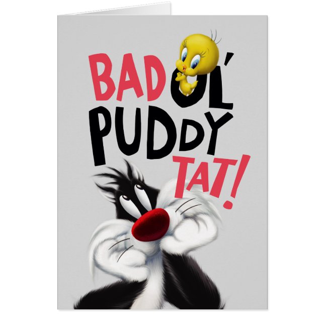 SYLVESTER™ & TWEETY™- Mean Ol' Puddy Tat (Devant)