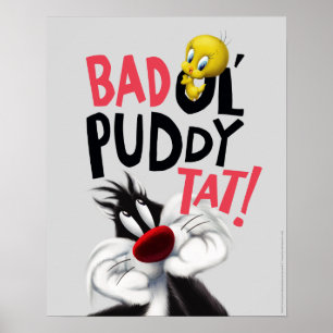 SYLVESTER™ & TWEETY™- Stoute Ouwe Kat Poster