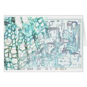 symbiose - concept