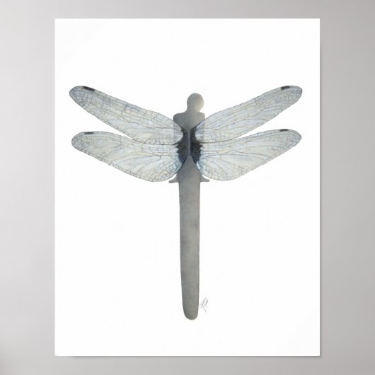 Symbiosis Dragonfly Poster (Voorkant)
