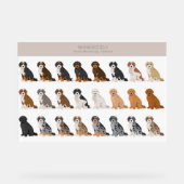 SYMBOLE ACrylique Bernedoodle (Recto)