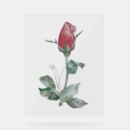 SYMBOLE ACrylique STYLE ROSE BUD DESIGN (Recto)