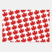 Symbole canadien de la feuille d'érable.  (Devant 3)