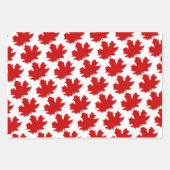 Symbole canadien de la feuille d'érable.  (Devant 2)