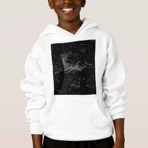 Symbole d'ailes Constellation Hevelius vers 1690