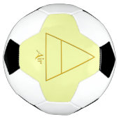 Symbole d'élément d'air de Falln Pagan (Tourné)