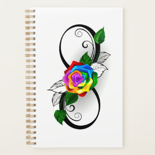 Symbole d'infini avec rose arc-en-ciel