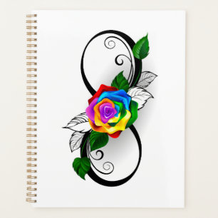 Symbole d'infini avec rose arc-en-ciel