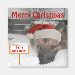 Symbole Magnet German Shepherd'Père Noël Stop Here