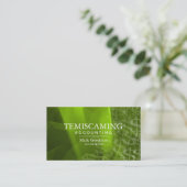 Symboles dollar de blanc de vert de carte de (Debout devant)