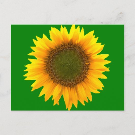 Symbolisme van de Light Post Card Briefkaart (Voorkant)