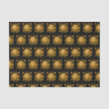 Symbool van Louis XIV de Sun King