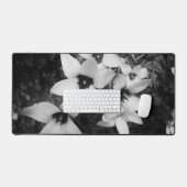 Symétrie silencieuse (Clavier et souris)