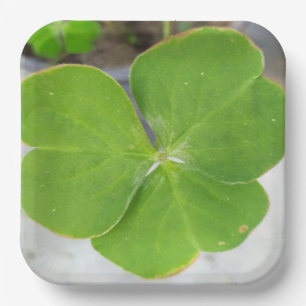 Symfonie van bladeren: 9-inch vierkant papier Bord