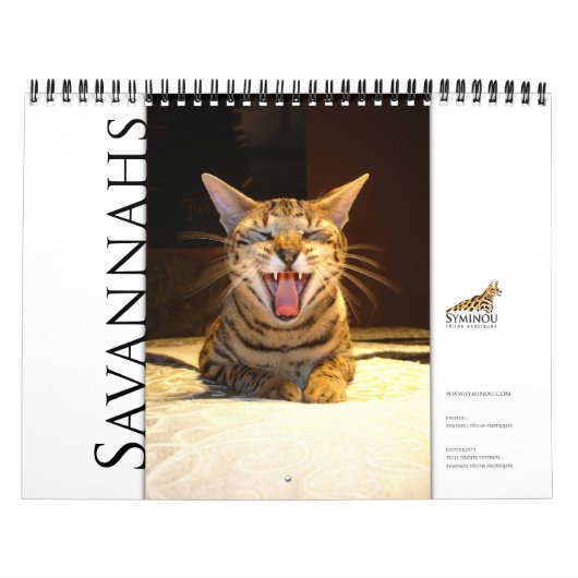 Syminou kalender 2018 Savannah Cat (Hoes)