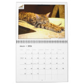 Syminou kalender 2018 Savannah Cat (Mar 2026)