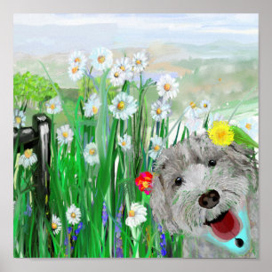 Sympa, Drôle Labradoodle Mur Poster d'Art
