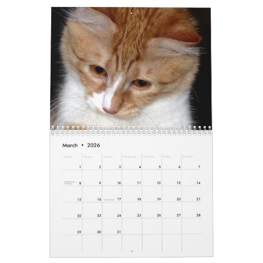 Sympa et amusant "Kitty Koolness" 2024 Calendrier  (Mar 2026)