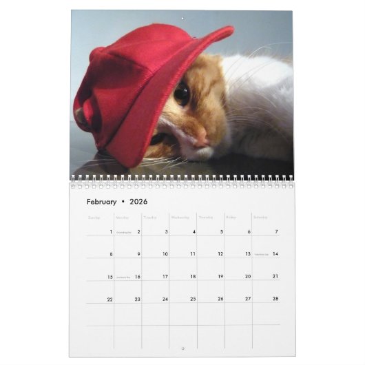 Sympa et amusant "Kitty Koolness" 2024 Calendrier  (Feb 2026)