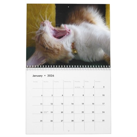 Sympa et amusant "Kitty Koolness" 2024 Calendrier  (Jan 2026)