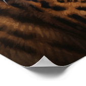 Sympa Ocicat Cat Art Imprimer Poster (Coin)