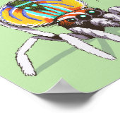 Sympa Peacock Araignée Colorée Dessin Poster (Coin)