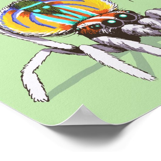 Sympa Peacock Araignée Colorée Dessin Poster (Coin)
