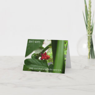 Sympathie bij alle gelegenheden kaart