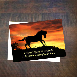 Sympathie bij paarden Verlies van paarden Kaart