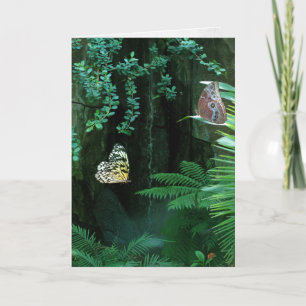 Sympathie Butterflies in een tuin Kaart