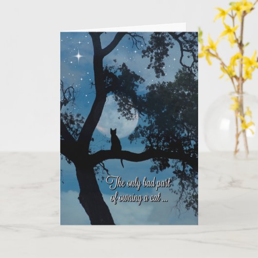 Sympathie de chat perte de la carte de chat (Fleur jaune)