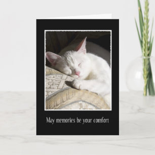 Sympathie du chat perte de la carte pour animaux d