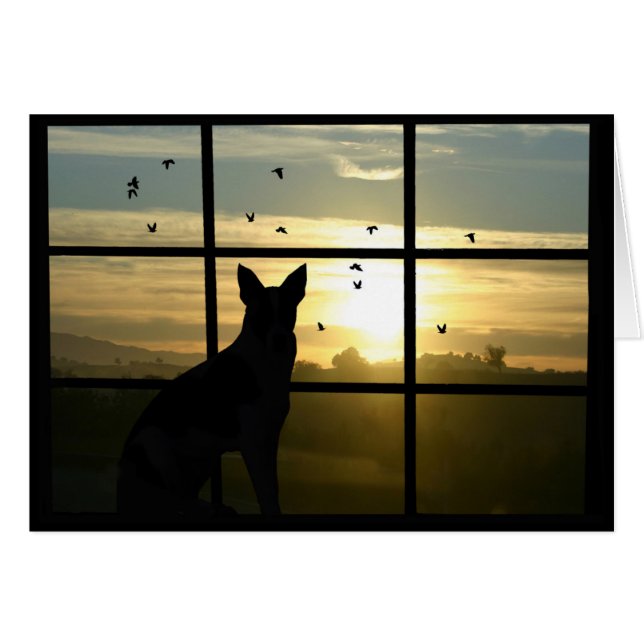 Sympathie du chien, perte de la carte du chien (Devant horizontal)