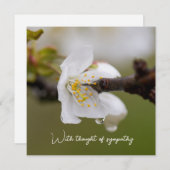 Sympathie Flat Kaart (Voorkant / Achterkant)