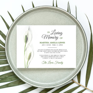 Sympathie Funérailles Calla Lily Fleurs Merci