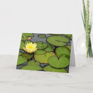 Sympathie gele waterlelie in een vijver kaart