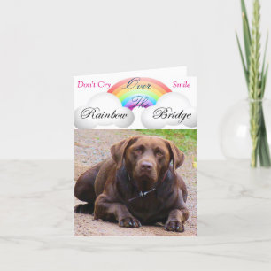 Sympathie Kaarten voor Hond j / Labour Retrivers L