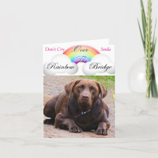 Sympathie Kaarten voor Hond j / Labour Retrivers L