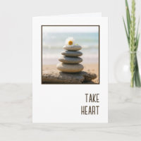 Sympathie Madeliefje op een stenen strandcairn