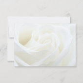 Sympathie Merci Floral Rose Bereavement (Dos)