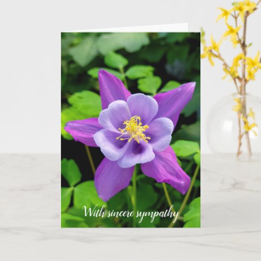 Sympathie Paarse Columbinebloem Kaart (Gele Bloem)