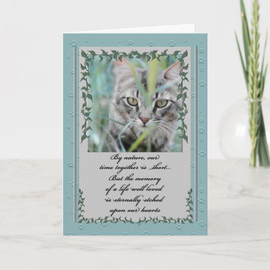 Sympathie Pet Verlies van kat Tabby in de gras Kaart (Voorkant)