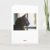 Sympathie pour la perte de blanc de carte de voeux (Dos)