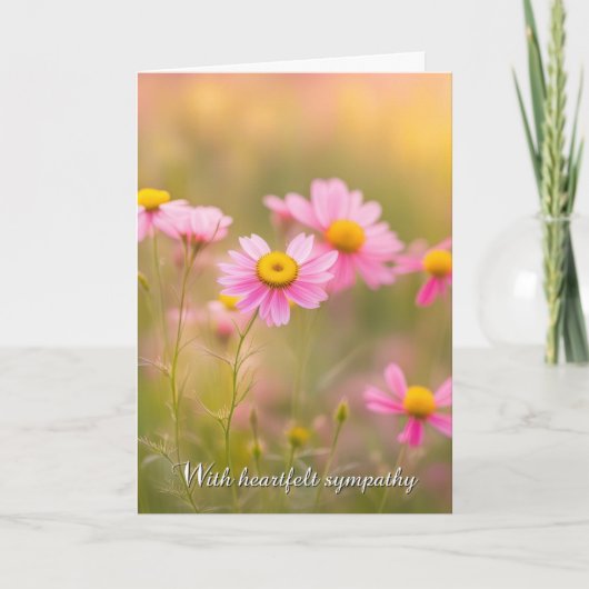 Sympathie Roze Daisies Kaart (Voorkant)