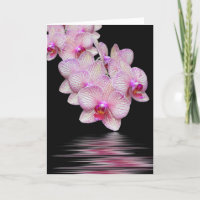 Sympathie roze orchidee water reflectie