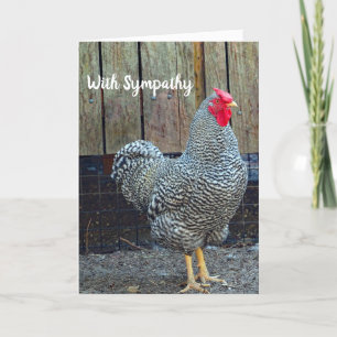 Sympathie van Chicken Black en White Rooster Kaart