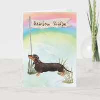 Sympathie van de zwarte en Tan Dachshund over de r