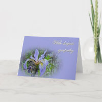 Sympathie van ons - Blue Flag Wildflower